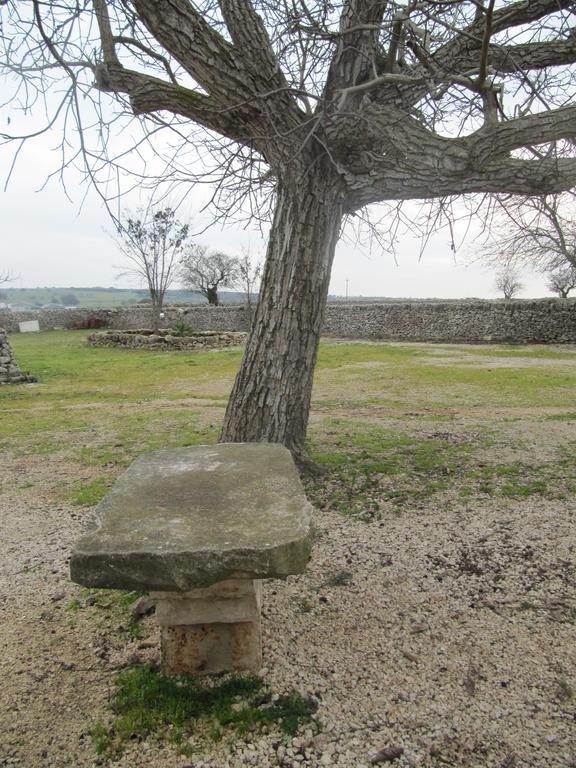 Trulli Sarmenzanello Daire Noci Oda fotoğraf