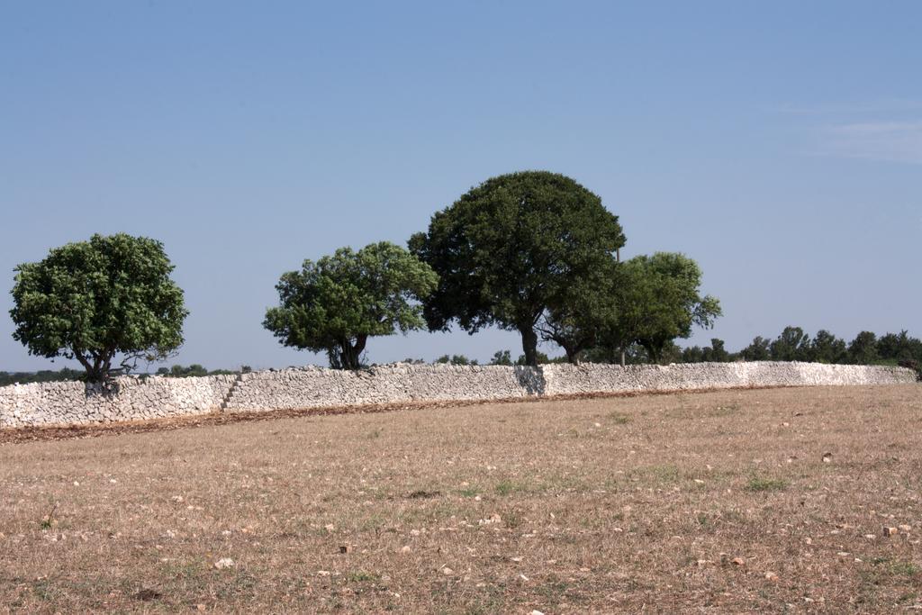 Trulli Sarmenzanello Daire Noci Oda fotoğraf