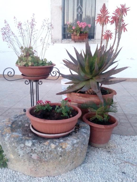 Trulli Sarmenzanello Daire Noci Dış mekan fotoğraf