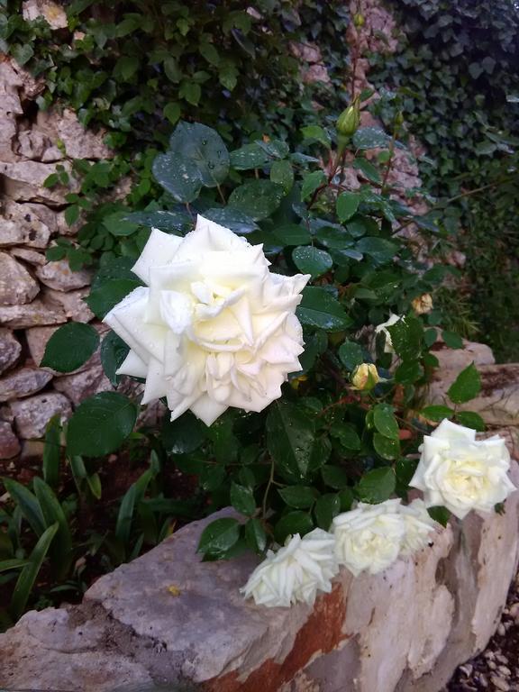 Trulli Sarmenzanello Daire Noci Dış mekan fotoğraf