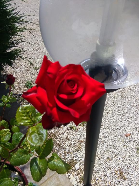 Trulli Sarmenzanello Daire Noci Dış mekan fotoğraf